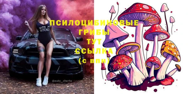 крисы Нягань