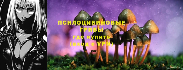 наркотики Новодвинск