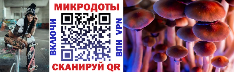 Псилоцибиновые грибы Psilocybe  Купить  Лагань 